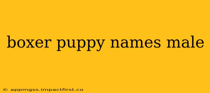 boxer puppy names male
