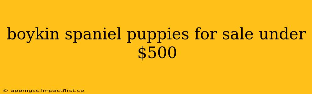 boykin spaniel puppies for sale under $500