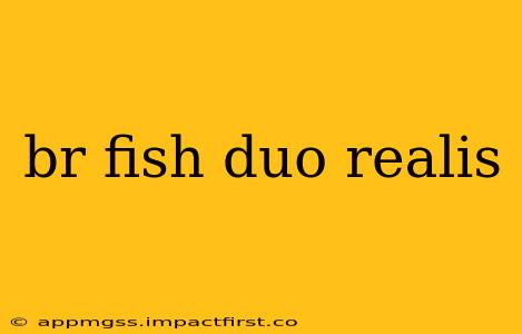 br fish duo realis