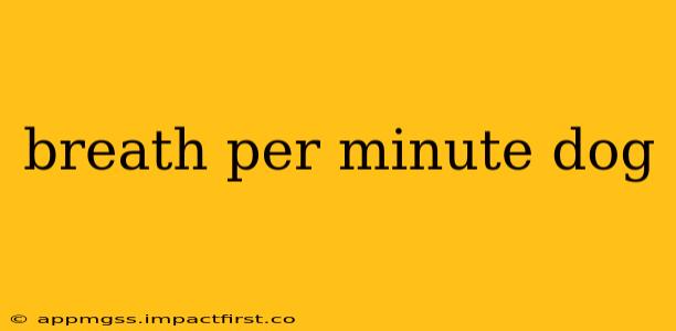 breath per minute dog