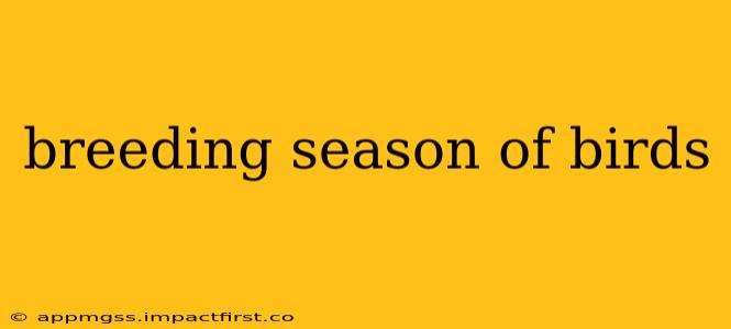 breeding season of birds