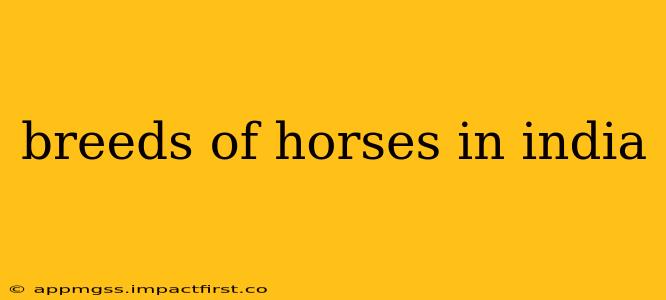 breeds of horses in india