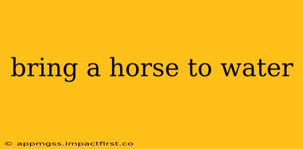 bring a horse to water