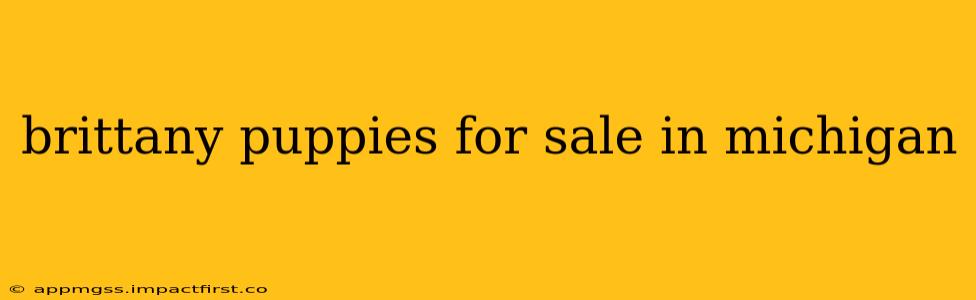 brittany puppies for sale in michigan