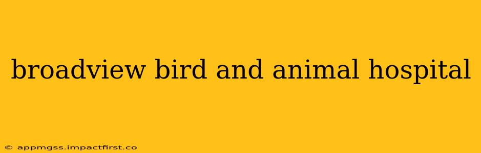 broadview bird and animal hospital