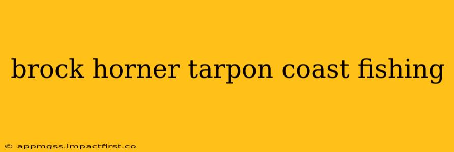 brock horner tarpon coast fishing