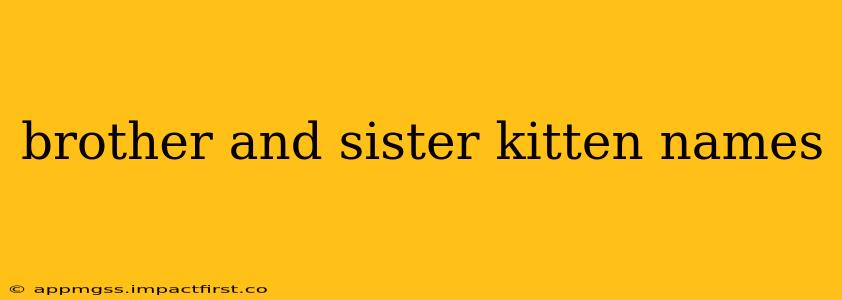 brother and sister kitten names