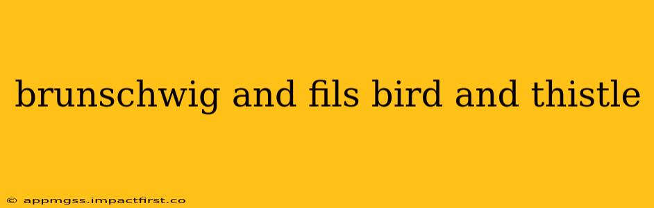 brunschwig and fils bird and thistle