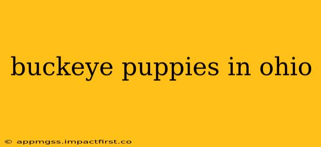 buckeye puppies in ohio