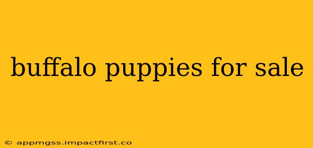 buffalo puppies for sale