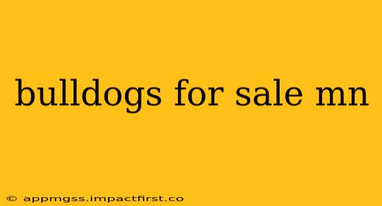 bulldogs for sale mn