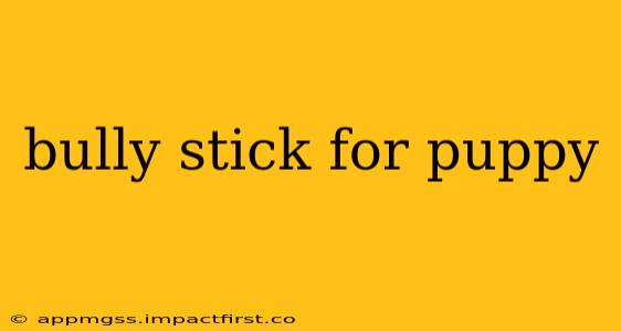 bully stick for puppy