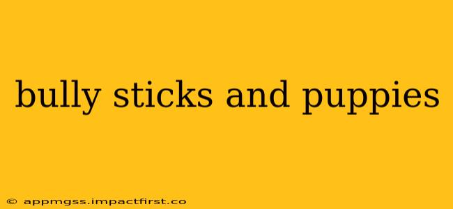 bully sticks and puppies