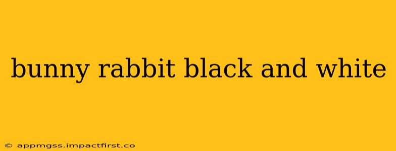bunny rabbit black and white