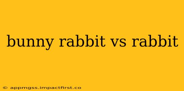 bunny rabbit vs rabbit