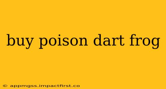 buy poison dart frog
