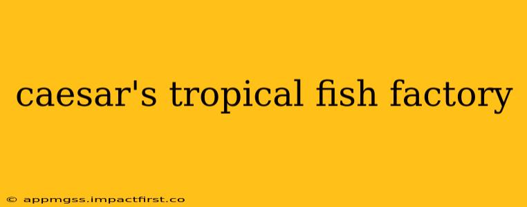 caesar's tropical fish factory