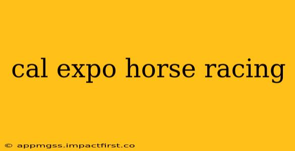 cal expo horse racing