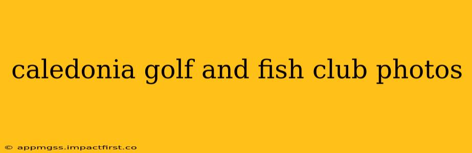caledonia golf and fish club photos