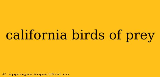 california birds of prey