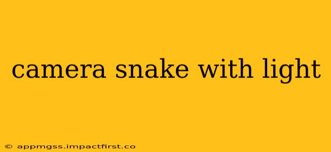 camera snake with light