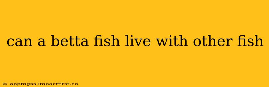 can a betta fish live with other fish