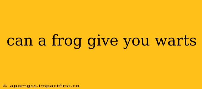 can a frog give you warts