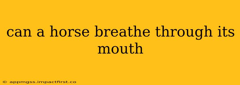 can a horse breathe through its mouth