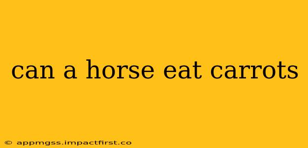 can a horse eat carrots