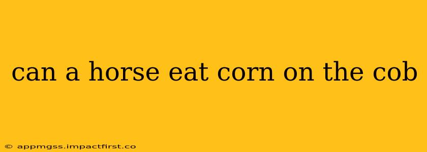 can a horse eat corn on the cob