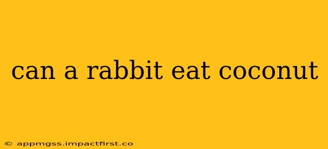 can a rabbit eat coconut