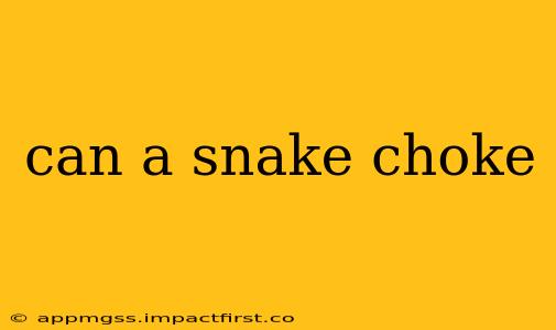 can a snake choke