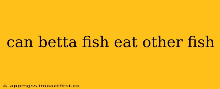can betta fish eat other fish