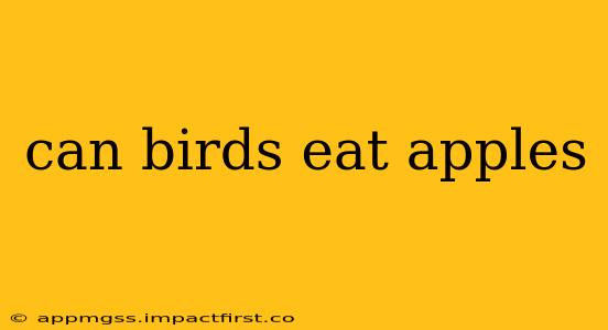 can birds eat apples