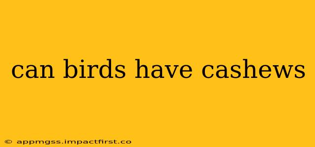 can birds have cashews