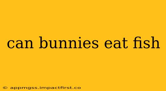 can bunnies eat fish