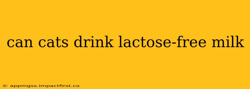can cats drink lactose-free milk
