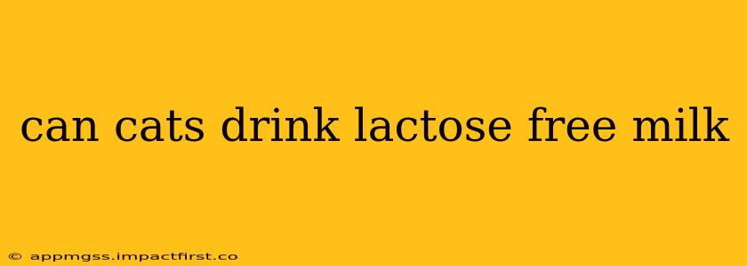 can cats drink lactose free milk