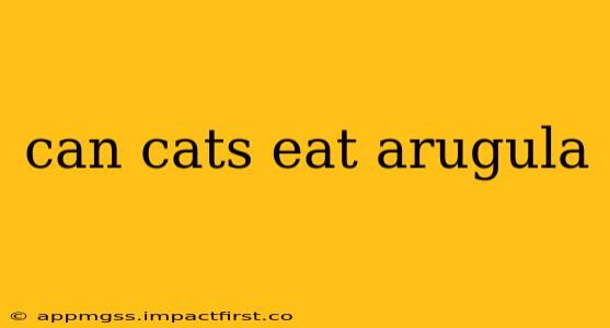 can cats eat arugula