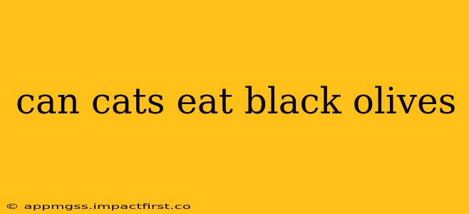 can cats eat black olives