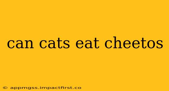 can cats eat cheetos