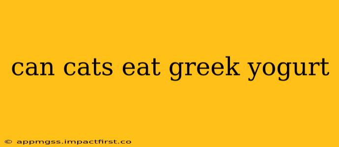 can cats eat greek yogurt
