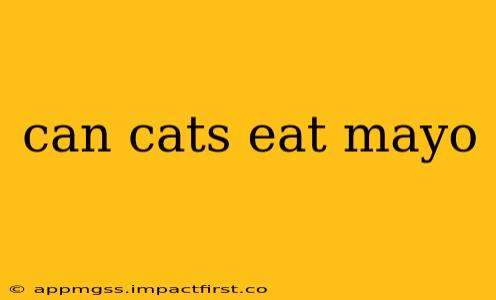 can cats eat mayo