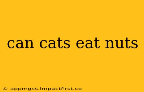 can cats eat nuts