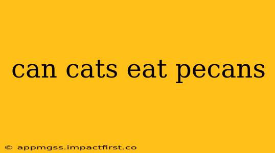 can cats eat pecans