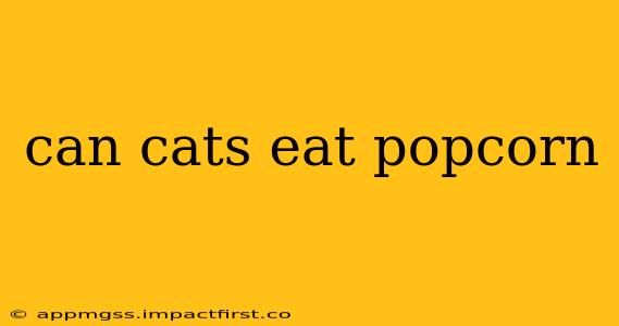 can cats eat popcorn
