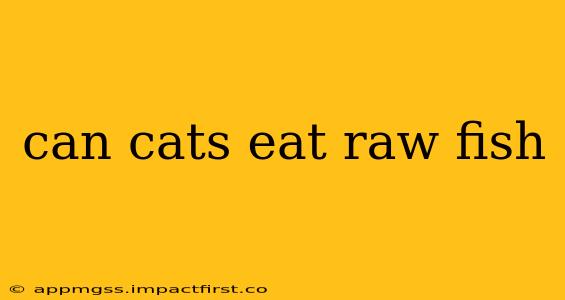 can cats eat raw fish