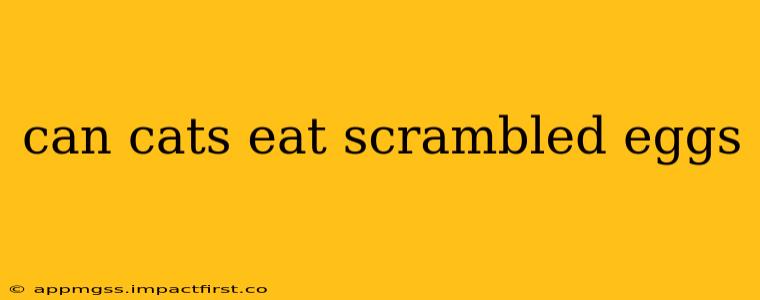 can cats eat scrambled eggs