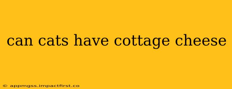 can cats have cottage cheese