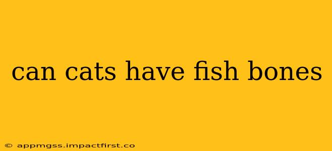can cats have fish bones